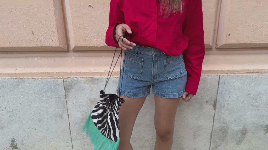 Zebra Bag