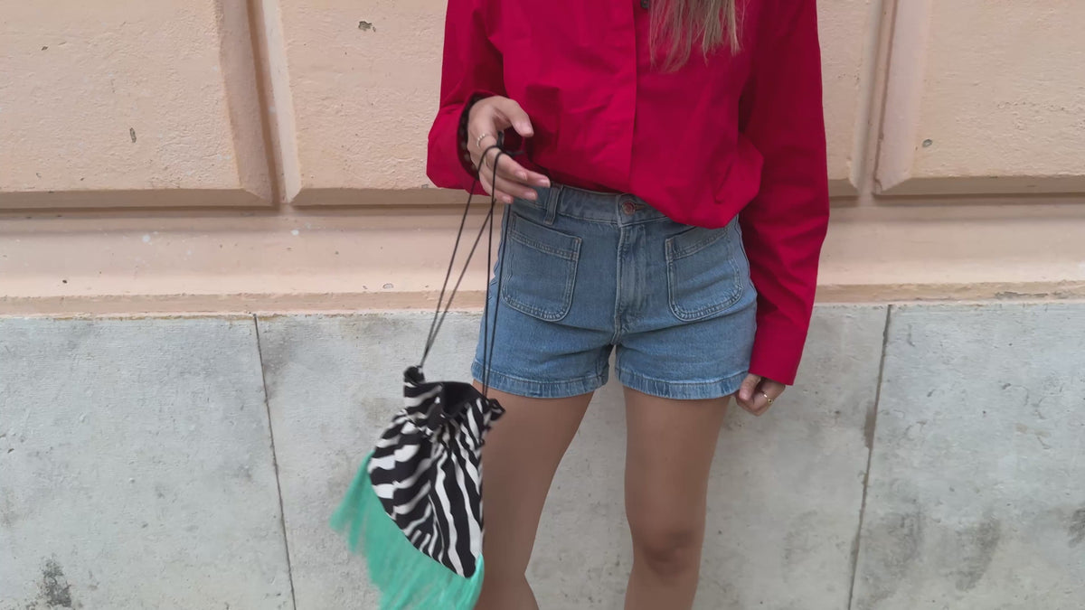 Zebra Bag